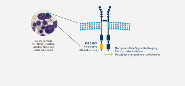 Neue Perspektiven In Der Behandlung Der Fortgeschrittenen Systemischen ...